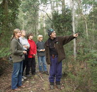 Great Western Tiers Forest Walks Tasmania - Accommodation ACT