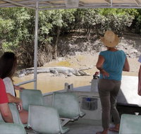Whitsunday Crocodile Safari - Accommodation ACT