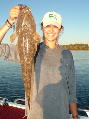 Reel Time Charters Yamba - Accommodation ACT 2