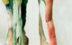Watch This Space - thumb 1