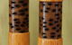 Barking Dog Gallery - thumb 0