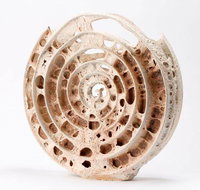 Noosa Regional Gallery - Accommodation ACT