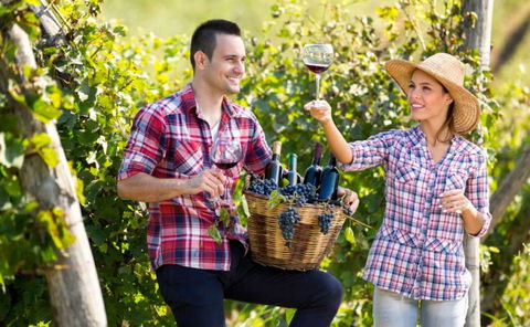 Two Tails Wines - Accommodation ACT 0