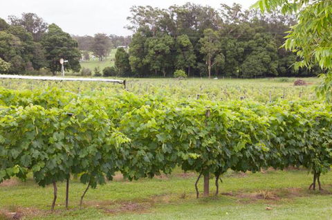 Two Tails Wines - Accommodation ACT 2