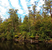 A R Reflections River Cruises - Accommodation ACT