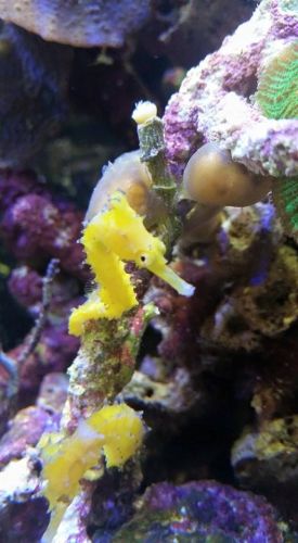 Tropical Marine Centre - Accommodation ACT 1