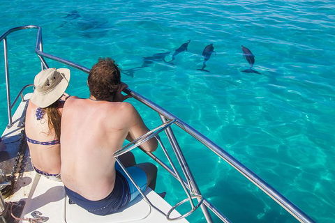 Turtle Eco Adventure Tour In Exmouth - Accommodation ACT 1