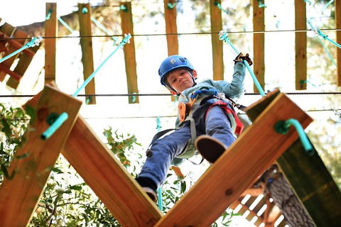 Trees Adventure Lane Poole Park - Treetop & Zipline Experience - Accommodation ACT 1
