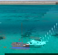 Whale Shark Swim by Catamaran in Shoulder Season - Accommodation ACT
