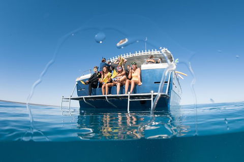 Swim With Whale Sharks - Ningaloo Reef - 3 Islands Whale Shark Dive - Accommodation ACT 11
