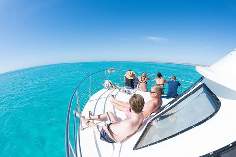 Swim With Whale Sharks - Ningaloo Reef - 3 Islands Whale Shark Dive - Accommodation ACT 22