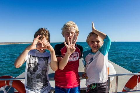 Swim With Whale Sharks - Ningaloo Reef - 3 Islands Whale Shark Dive - Accommodation ACT 15