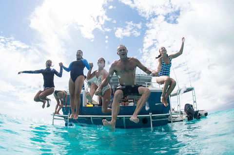 Swim With Whale Sharks - Ningaloo Reef - 3 Islands Whale Shark Dive - Accommodation ACT 4