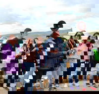 Margaret River Wine and Sights Discovery Tour from Busselton or Dunsborough - Accommodation ACT