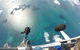 Rottnest Island Tandem Skydive - thumb 5