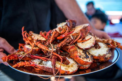 Mandurah Wild Seafood Adventure Cruise - Accommodation ACT 1