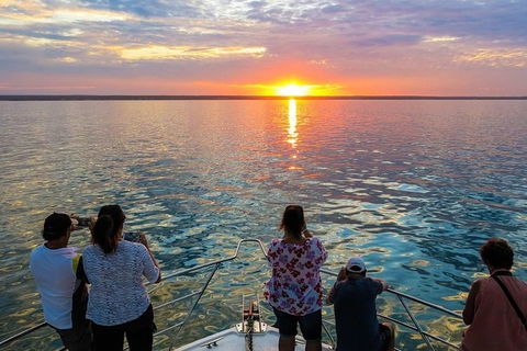 Humpback Whale Sunset Cruise - Accommodation ACT 1