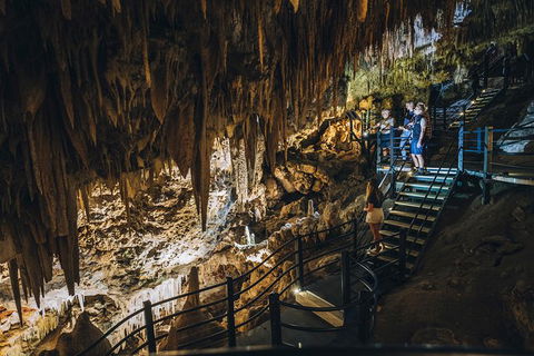 Ngilgi Cave Semi-guided Tour - Accommodation ACT 0