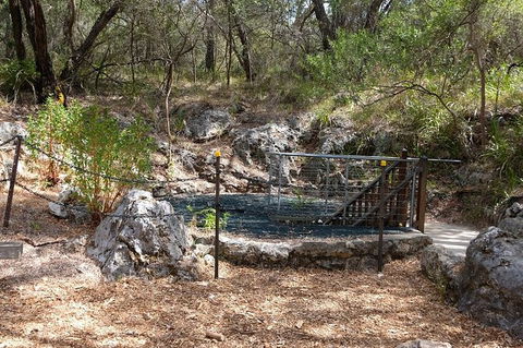 Ngilgi Cave Semi-guided Tour - Accommodation ACT 7