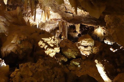 Ngilgi Cave Semi-guided Tour - Accommodation ACT 3