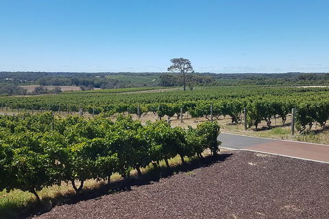 Full Day Winery And Brewery Tour In A Classic Silver Spirit Rolls Royce - Accommodation ACT 5