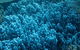 Muiron Island Dive & Snorkel Tour - thumb 3