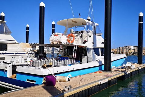 Muiron Island Dive & Snorkel Tour - Accommodation ACT 7