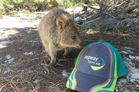 Rottnest Island Segway Tour: Fortress Adventure Tour - Accommodation ACT 3