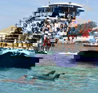 Mandurah Dolphin and Scenic Marine Cruise - Accommodation ACT