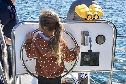 Mandurah Dolphin And Scenic Marine Cruise - Accommodation ACT 10