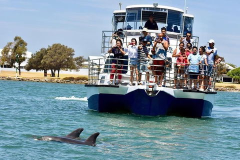 Mandurah Dolphin And Scenic Marine Cruise - Accommodation ACT 2