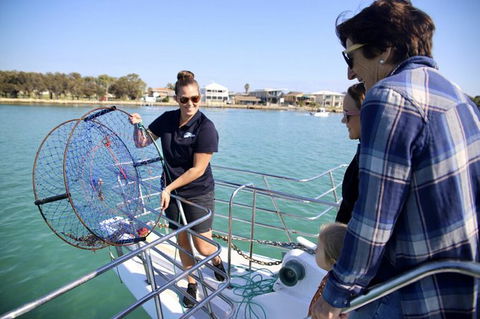 Mandurah Dolphin And Scenic Marine Cruise - Accommodation ACT 16