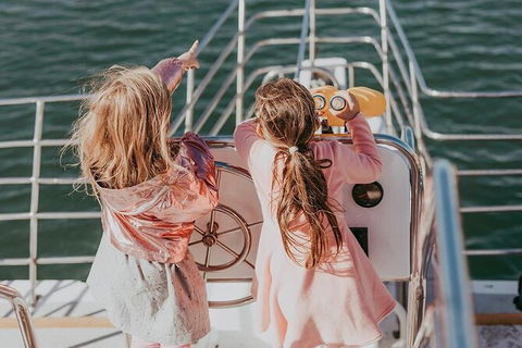 Mandurah Dolphin And Scenic Marine Cruise - Accommodation ACT 13