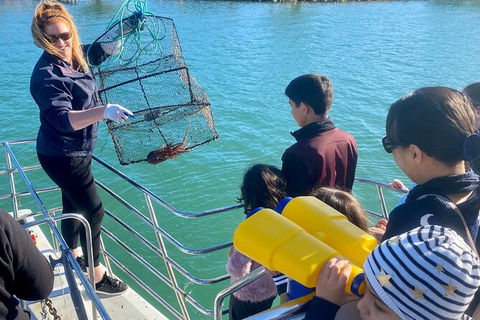 Mandurah Dolphin And Scenic Marine Cruise - Accommodation ACT 18