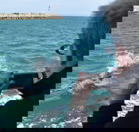 Mandurah Dolphin Island Adventure - Accommodation ACT