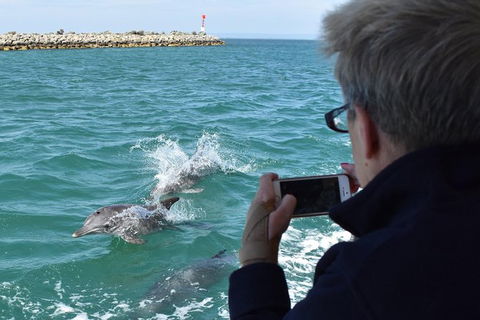 Mandurah Dolphin Island Adventure - Accommodation ACT 0