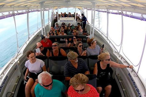 Mandurah Dolphin Island Adventure - Accommodation ACT 1
