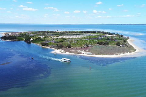 Mandurah Dolphin Island Adventure - Accommodation ACT 8