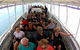 Mandurah Dolphin Island Adventure - thumb 12