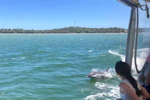 Mandurah Dolphin Island Adventure - Accommodation ACT 9