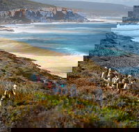 8-Day Cape to Cape Track Guided Walking Tour from Perth - Accommodation ACT