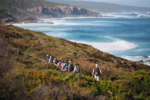 8-Day Cape To Cape Track Guided Walking Tour From Perth - Accommodation ACT 0