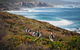 8-Day Cape To Cape Track Guided Walking Tour From Perth - thumb 2