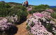 8-Day Cape To Cape Track Guided Walking Tour From Perth - thumb 4