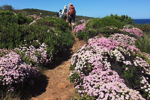 8-Day Cape To Cape Track Guided Walking Tour From Perth - Accommodation ACT 4