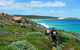 8-Day Cape To Cape Track Guided Walking Tour From Perth - thumb 7