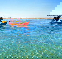 Turtle Tour - Ningaloo Reef Half Day Sea Kayak and Snorkel Tour - Accommodation ACT