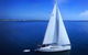 Rottnest Island Sailing Day Trip From Fremantle - thumb 0