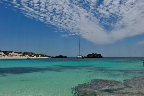Rottnest Island Sailing Day Trip From Fremantle - Accommodation ACT 6