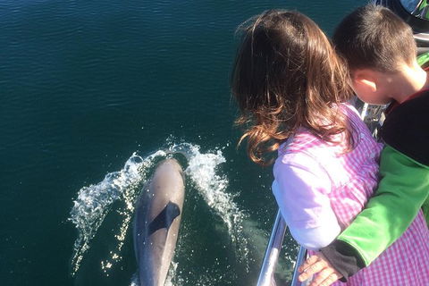 Sunset Sail Cruise Out Of Fremantle - Accommodation ACT 1
